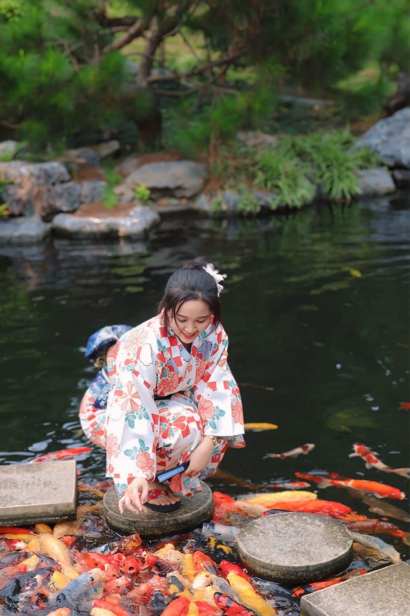 Cho cá koi ăn