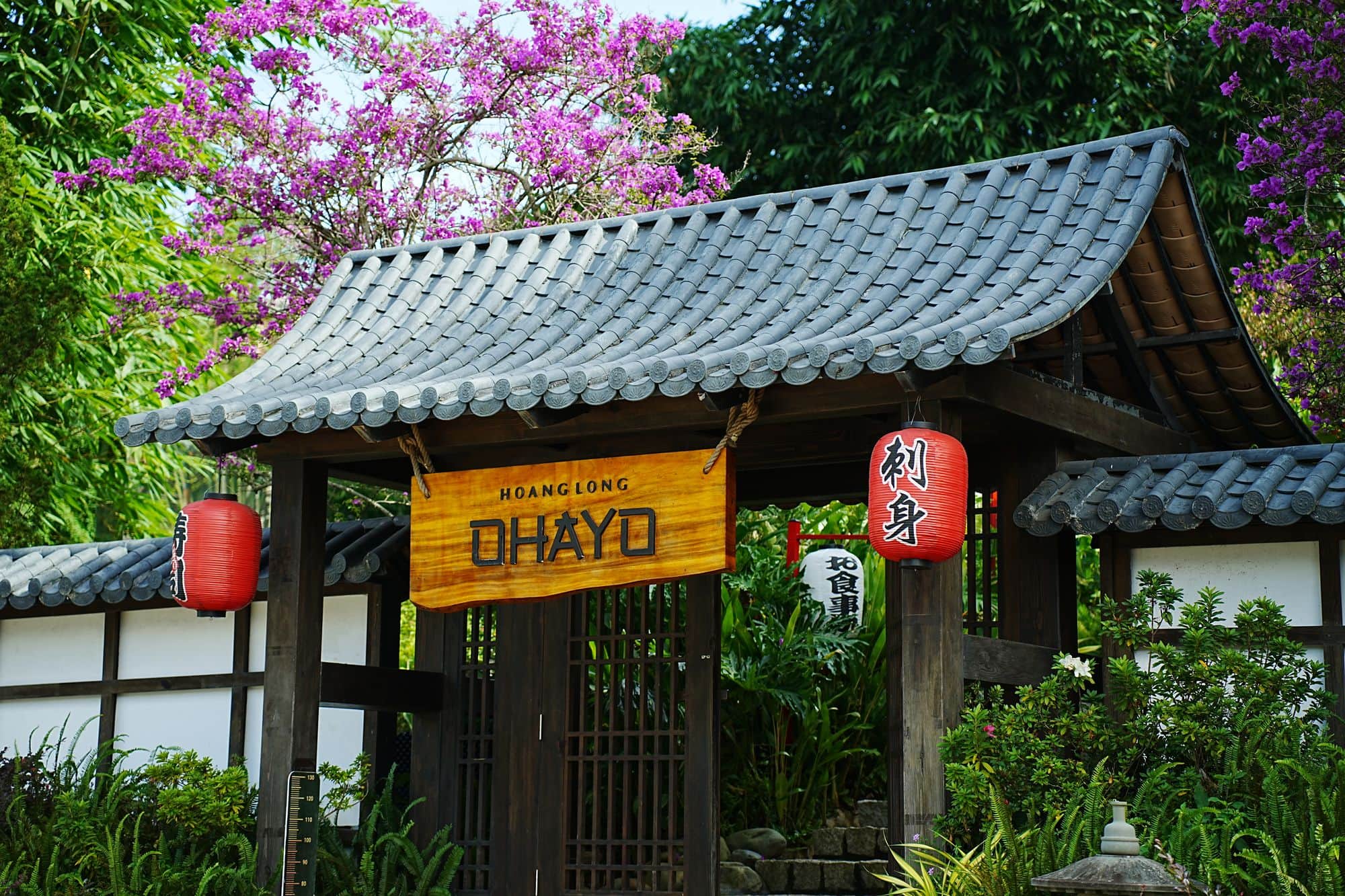 Cổng Ohayo