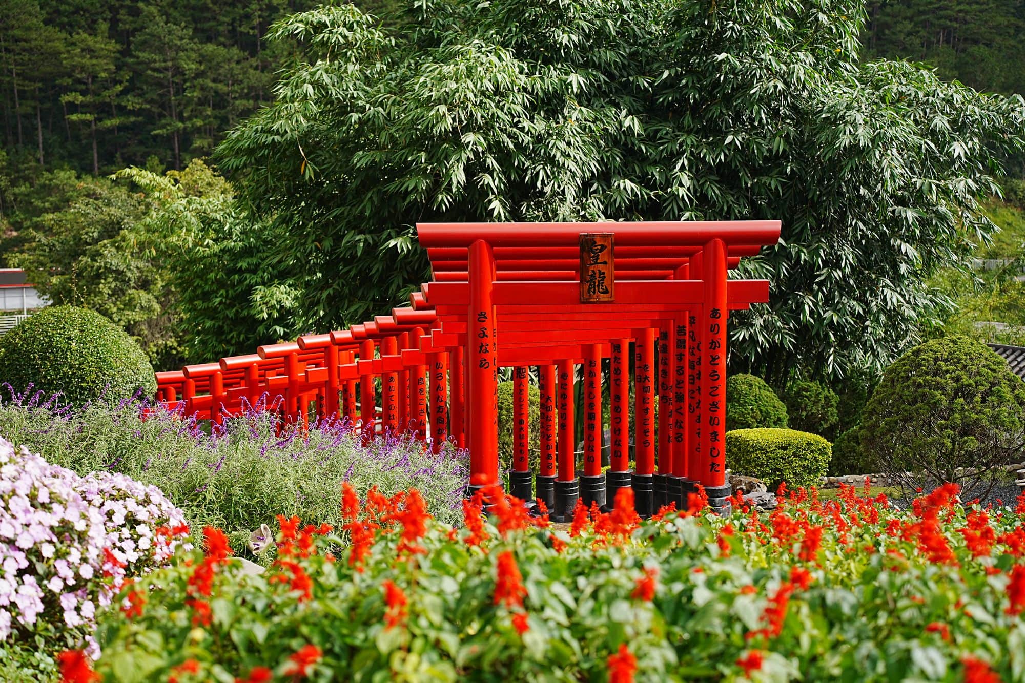 Dãy cổng torii