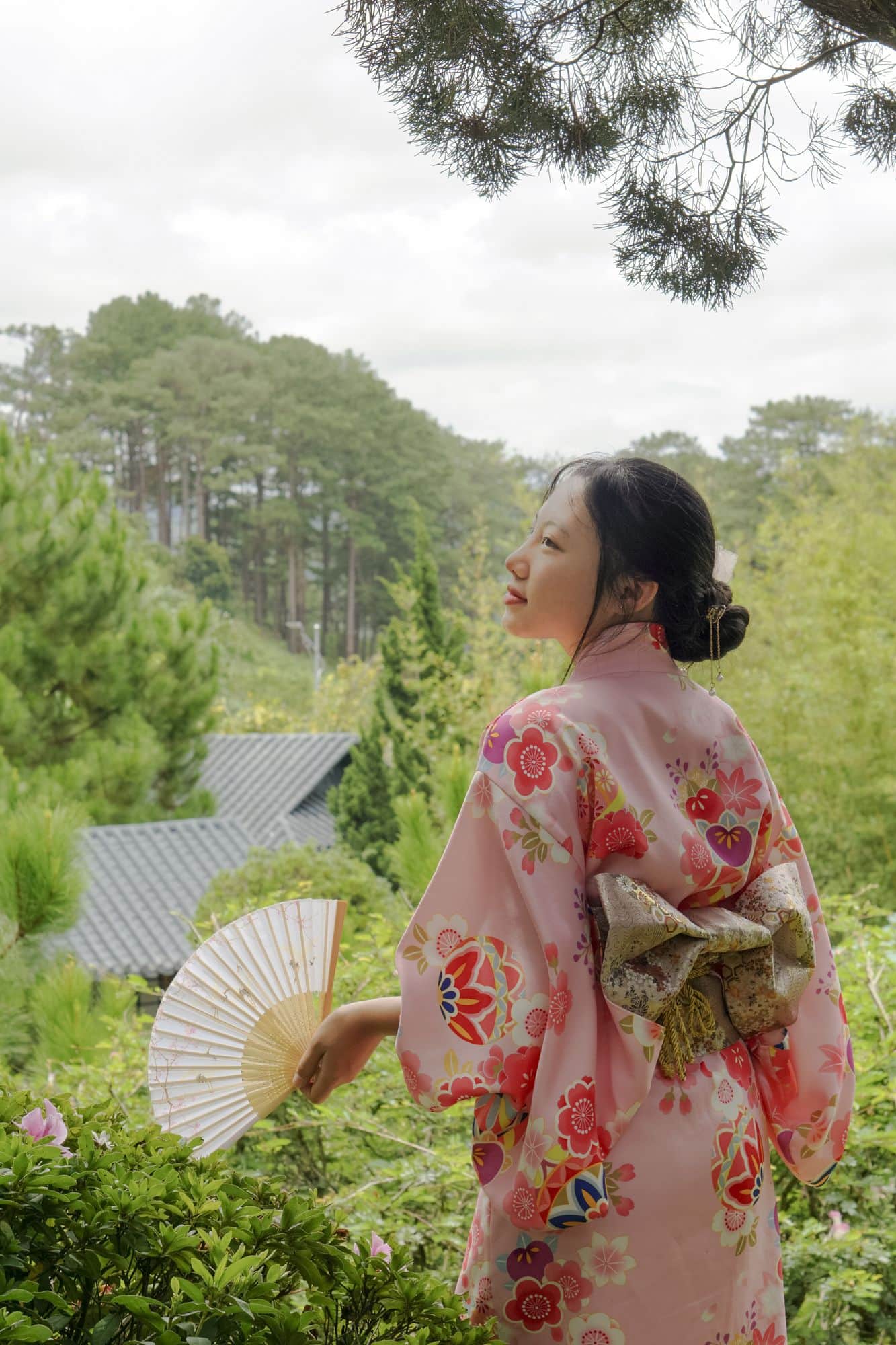 Khách mặc kimono hồng ngắm đồi thông